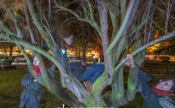 Resumen de la XX Salida Fotográfica Nocturna