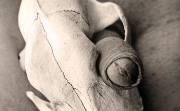 30 por el 30 ( Marce Rodriguez Yebra)