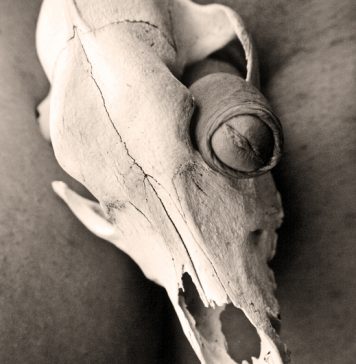 30 por el 30 ( Marce Rodriguez Yebra)