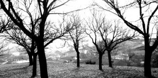 Exposición «León, Tierra de contrastes»