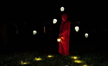 Noche Zen