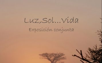 Exposición «Luz, sol…vida»