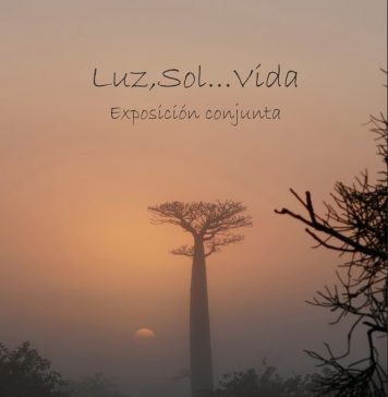 Exposición «Luz, sol…vida»