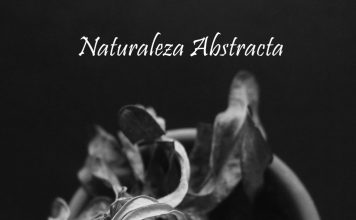 Exposición ‘Naturaleza Abstracta’