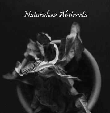Exposición ‘Naturaleza Abstracta’