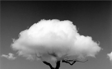 La naturaleza de las cosas. Chema Madoz. El Palacín. León.