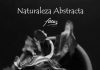 “Naturaleza abstracta”, una exposición de la Asociación Focus de fotógrafos leoneses.