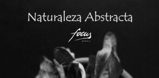 “Naturaleza abstracta”, una exposición de la Asociación Focus de fotógrafos leoneses.