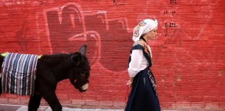 Ganadores XIV Maratón fotográfico Reino de León
