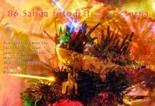 ¡86 salida fotográfica nocturna «Luces de Navidad» con un invitado muy especial!